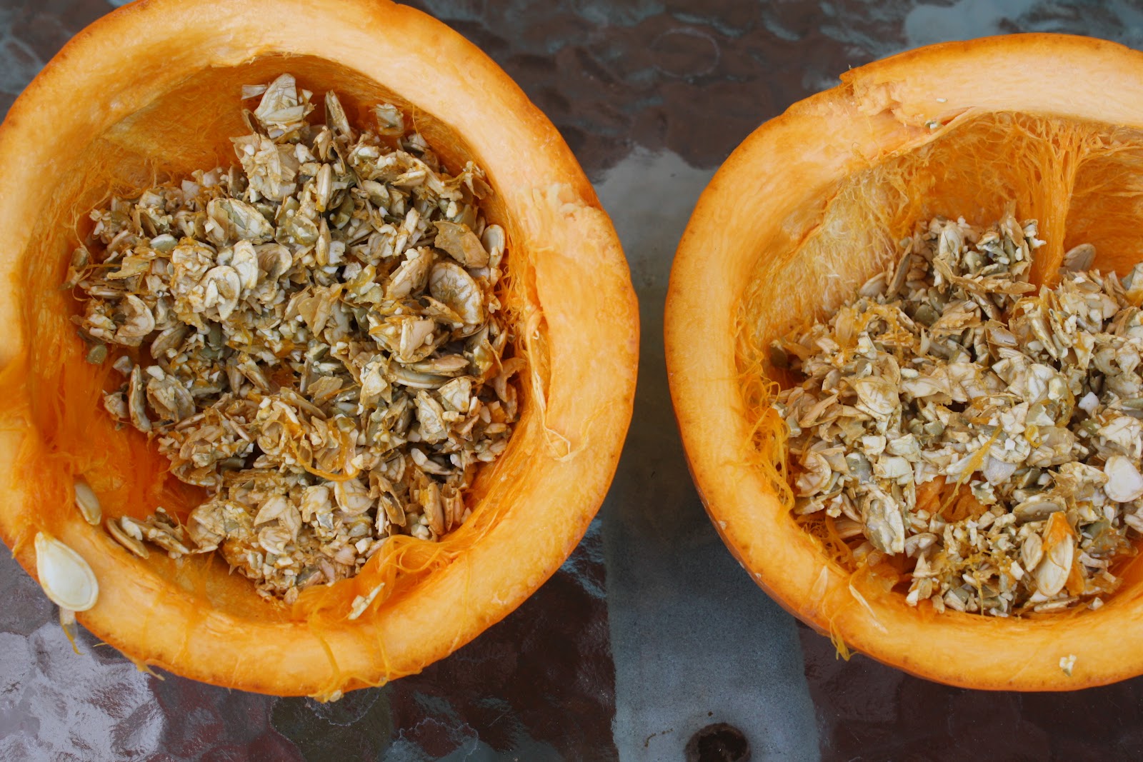 Sunny Simple Life Pumpkin Seeds as a Dewormer for Chickens